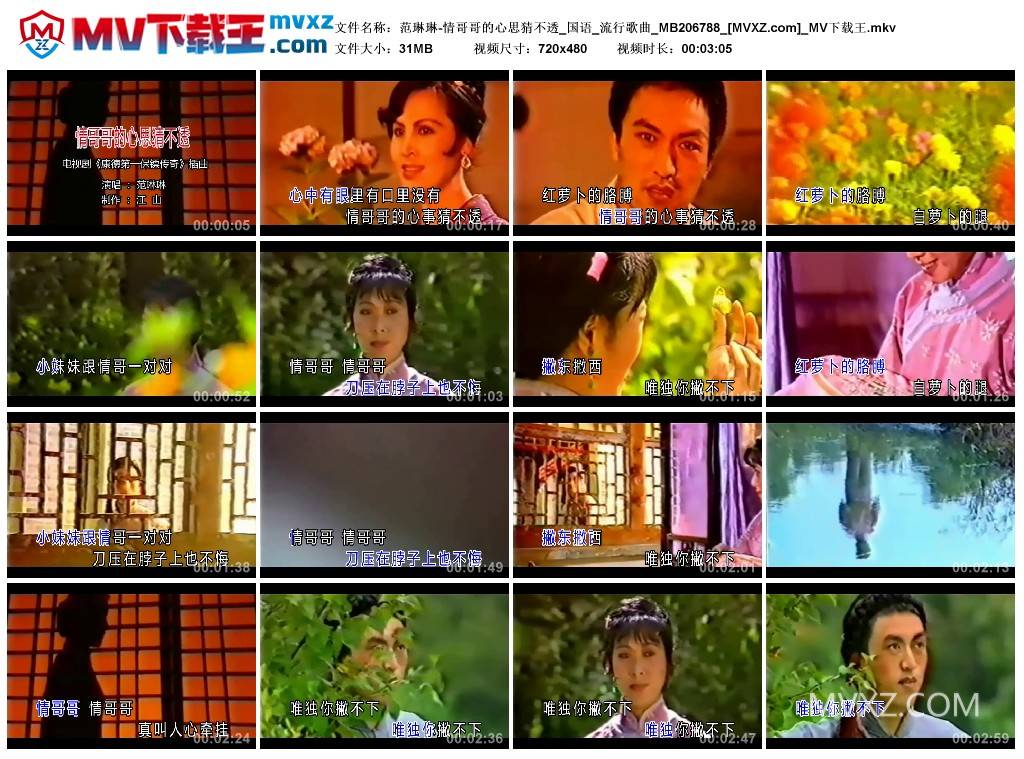 范琳琳-情哥哥的心思猜不透_国语_流行歌曲_MB206788